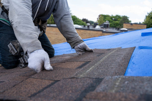 Best Metal Roofing Contractor  in West Ishpeng, MI