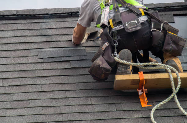 Best Roof Gutter Cleaning  in West Ishpeng, MI