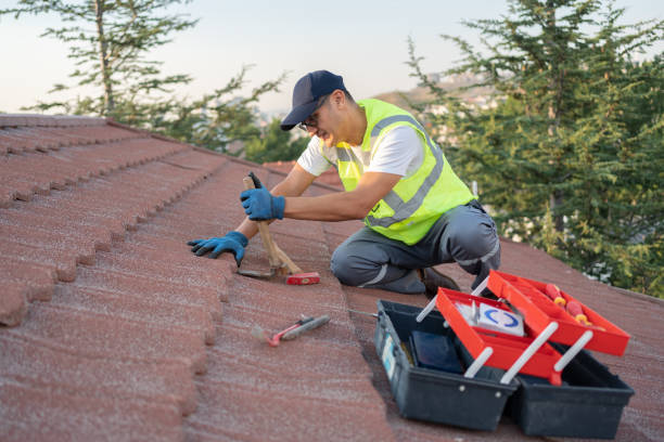 Best Sealant for Roof  in West Ishpeng, MI